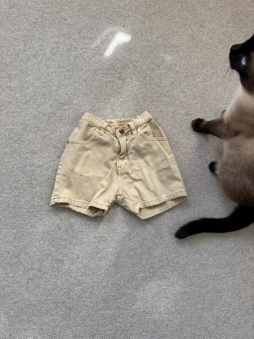 Kids Cotton Blend Beige Shorts with Elastic Waist